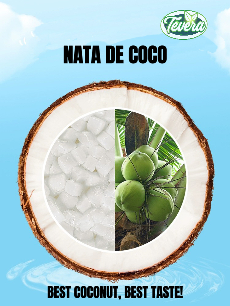 tevera nata de coco factory